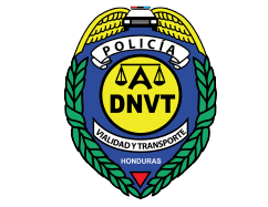 Dirección Nacional de Vialidad y Transporte